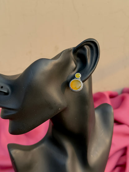 Silk Stone Casual Wear Earrings